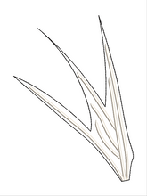 Load image into Gallery viewer, Bat Tie (2 Sizes)