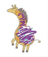 Load image into Gallery viewer, Wild Girwaffle Sketch and Fill