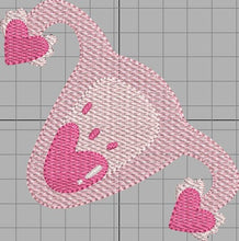 Load image into Gallery viewer, Uterus